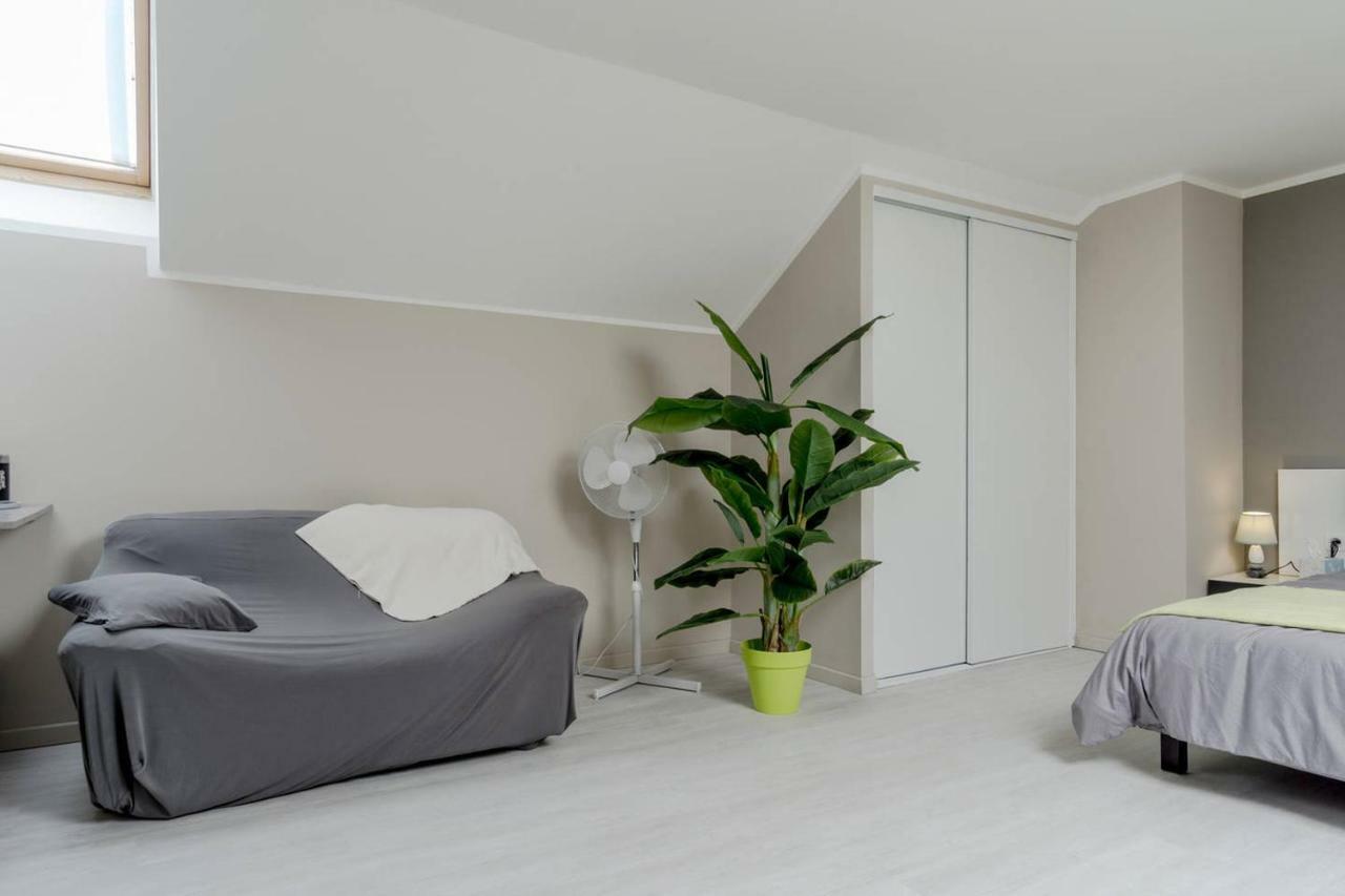 Loft A La Campagne Appartement Parmilieu Buitenkant foto